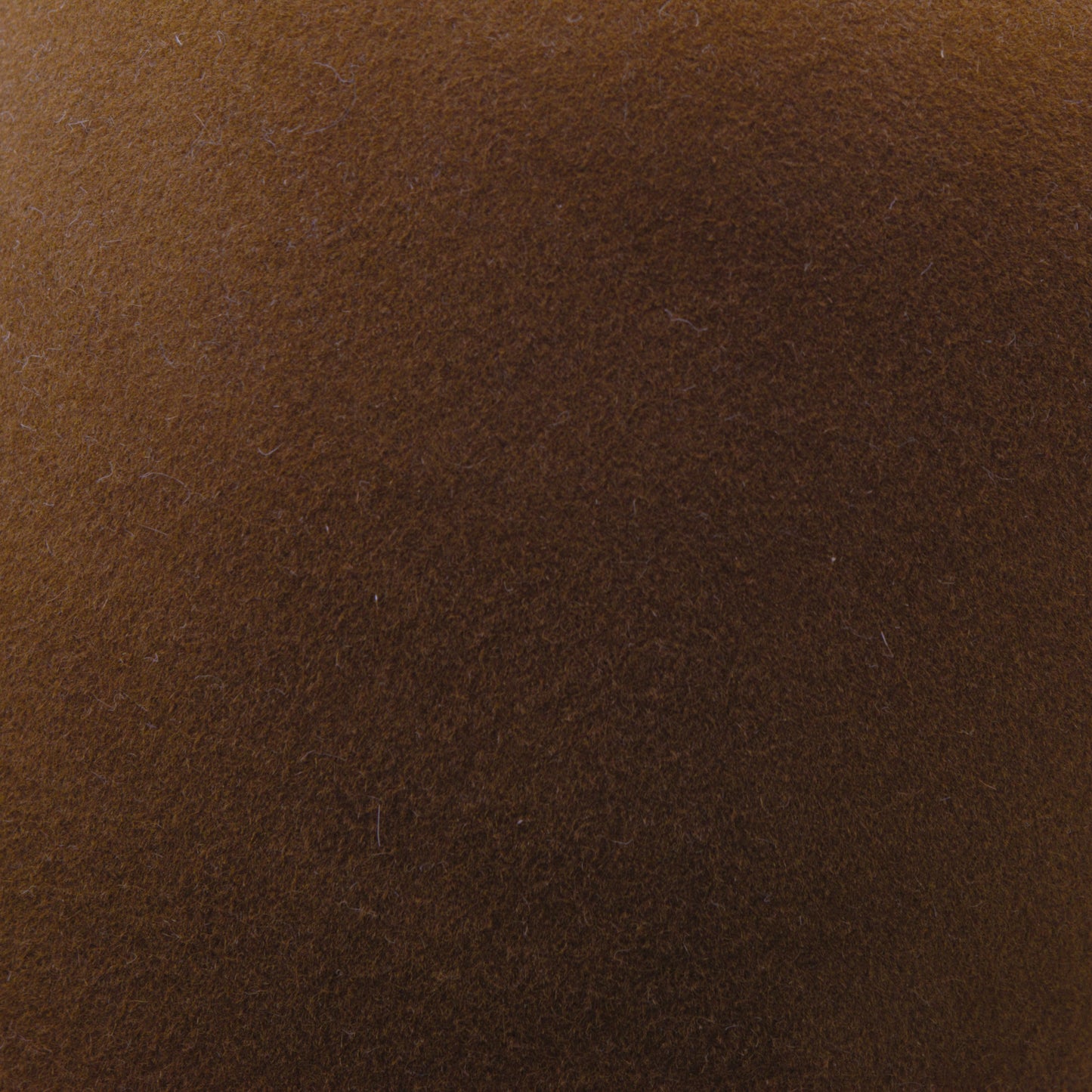 Brown Sugar - 250g 100X Coypu Hat Body